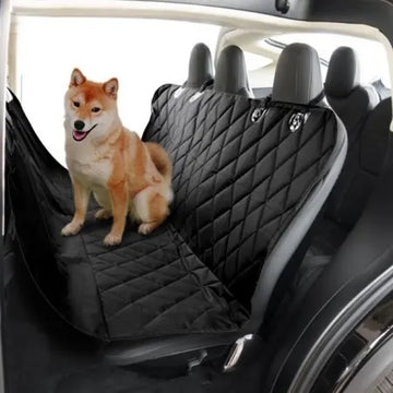 Hund i bilen Tesla